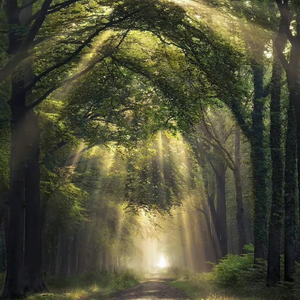 世界第一群交会幕后花絮拍摄过程
